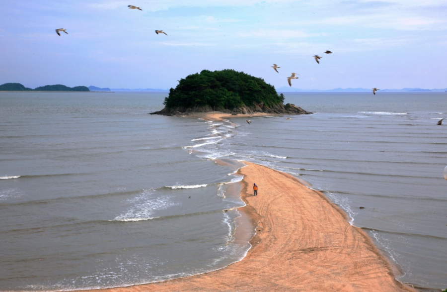 6차 (1)-1 선재도 목섬 육계사주.jpg